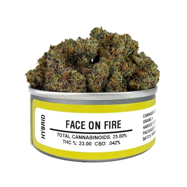 Face on Fire