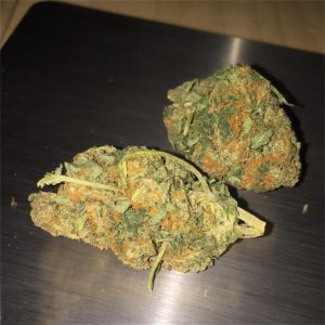 Blueberry Kush